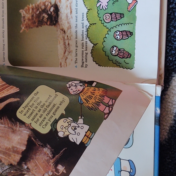 Time-Life A Child's First Library of Learning - Insect World Book - 1988 - Picture 6 of 12